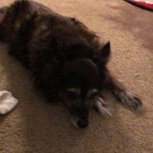 Meet your Posher, Anne